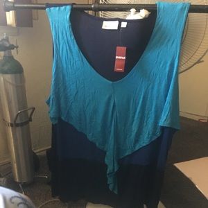 Plus size lady’s dressy tank.
